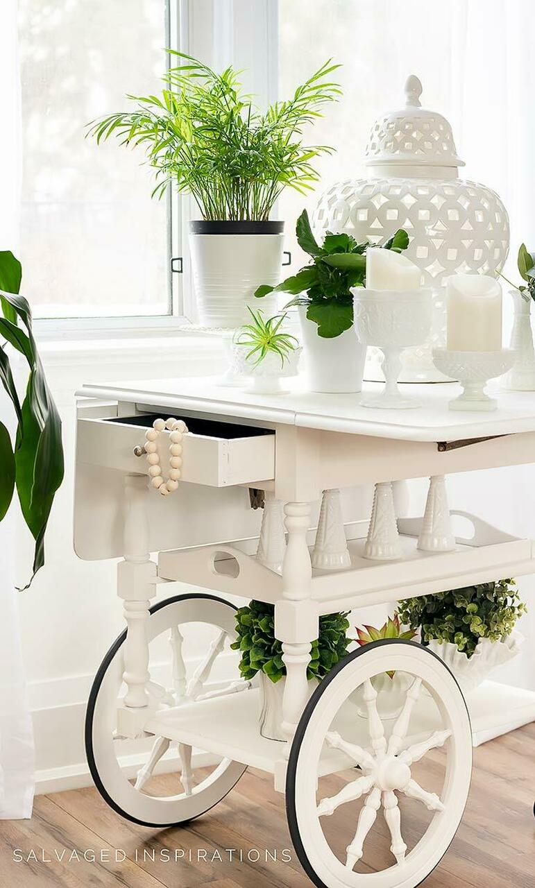 Salt Water Silk All-In-One Mineral Paint®